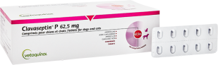 clavaseptin_625mg_boite_500cp