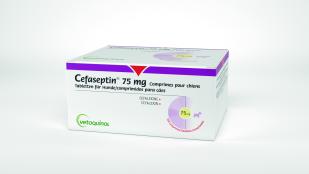 Cefaseptin 300 mg comprimés pour chiens